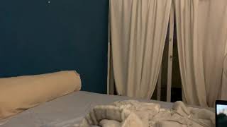 [心得/閃光] 有狗狗靈魂的貓貓