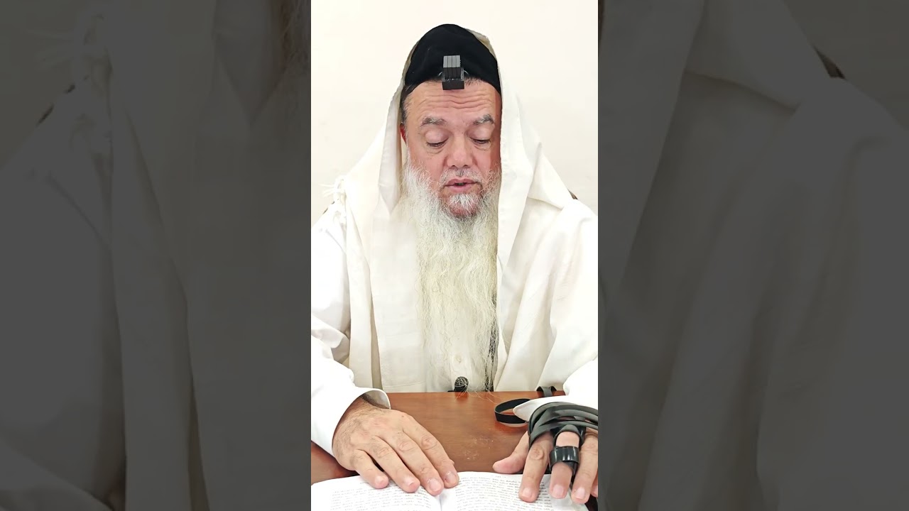 שער הביטחון | סבב שני - פרק 238