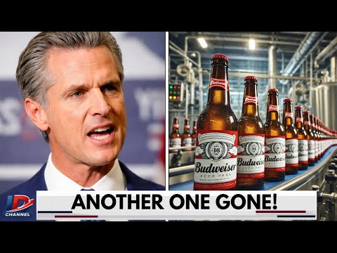 Governor Of California PANICS After Budweiser Brewery LEAVES California!