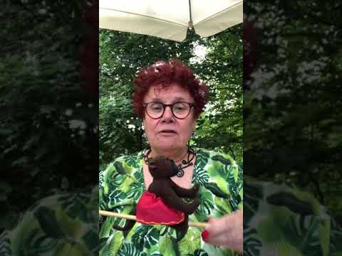 Er Zat Een Aapje Op Een Stokje - Misc Children