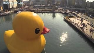 preview picture of video 'Rubber Duck at Keelung Harbor'