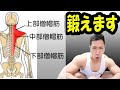 自宅で簡単、ダンベルで僧帽筋全体を効率よく鍛えよう♪