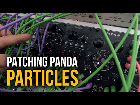 Patching Panda Particles, variaciones creativas en Eurorack