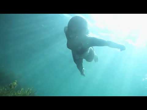 Kacey Samiee reel video preview