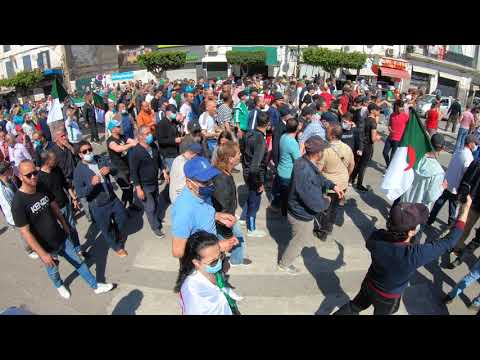 حراك الجزائر والله مارانا حابسين ديرو واش تديرو