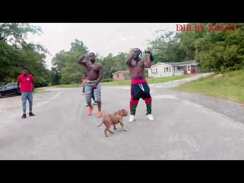 Don't Like By Young Gulley