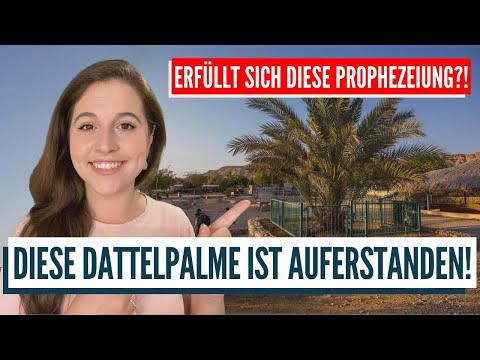 ERFÜLLEN SICH PROPHEZEIUNGEN IN ISRAEL? Das Wunder der 2000 Jahre alten Dattelpalme!