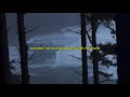 Sky Woods I Don T Wanna Die Alone Official Lyric Video