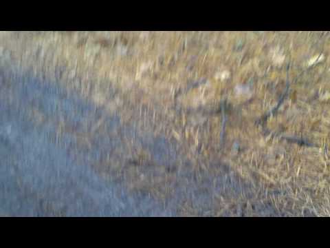 Brandon Hartranft on his yz 85 PT. 2