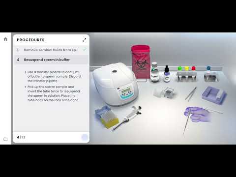 Pearson Interactive Labs | Meiosis