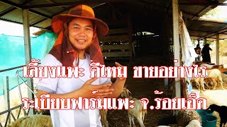 เลี้ยงแพะ แกะ เพื่อการค้า ระเบียบฟาร์มแพะ EP.2 ช่องเกษตรผสมผสาน บ้านทุ่ง ลุงต๋อม