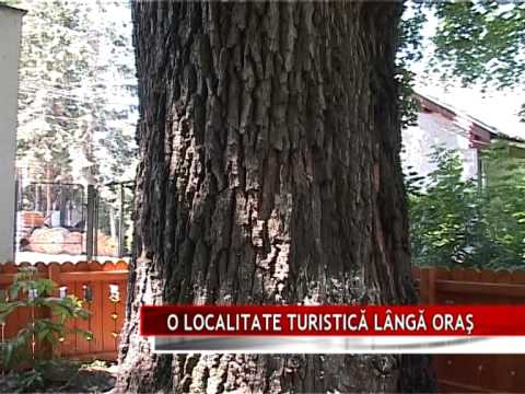 O LOCALITATE TURISTICĂ LÂNGĂ ORAŞ