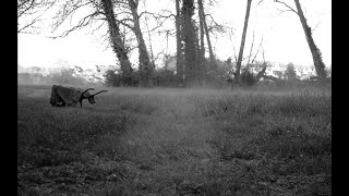 Fred und Luna – “Es ist so schön”