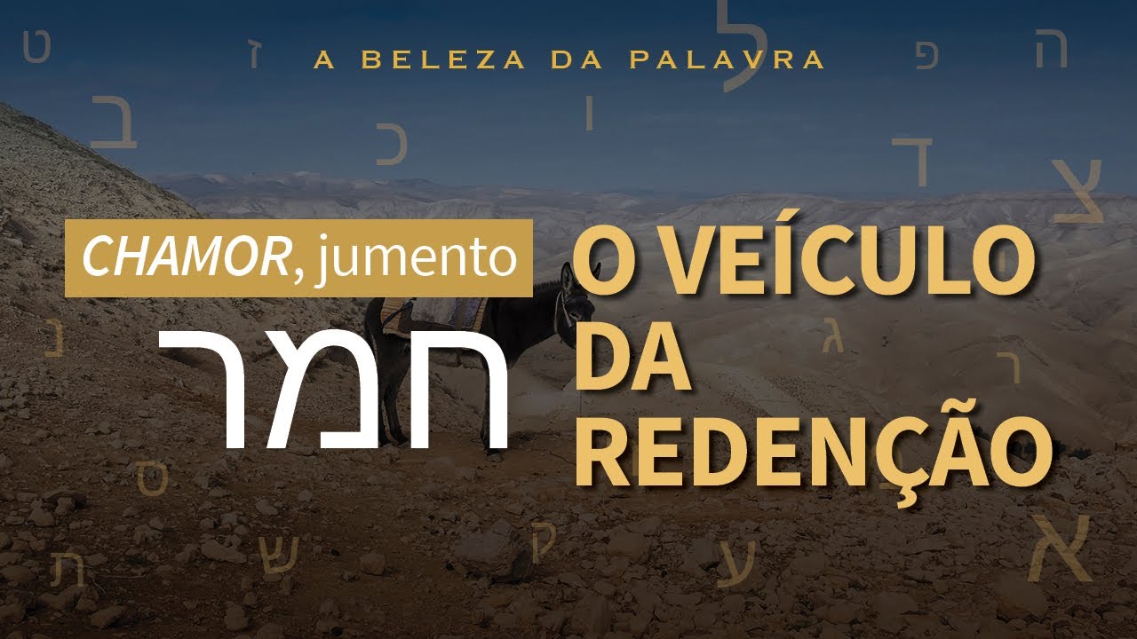 CHAMOR, jumento | O veículo da redenção.