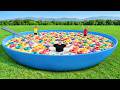 World S Biggest Bowl Of Cereal