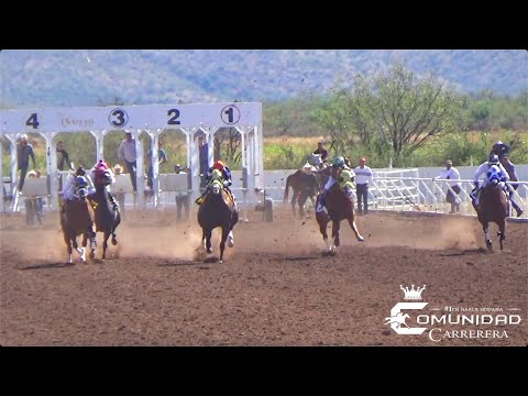Semifinal Maturity "La Bikina". Hechicero Vs Seven Vs Menor Vs Conejo Vs Huasteco, Satevo Racetrack.