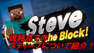 [スマブラSP]スティーブ発表！現時点で分かる部分を紹介！