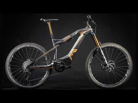 M1-Sporttechnik | Das SPITZING Evolution Bobby Root Edition | EMTB | E-Bike Neuheiten 2022