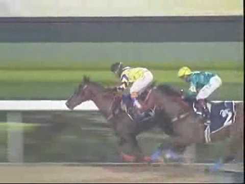 3rd 2nd for The Gangster Syndicate