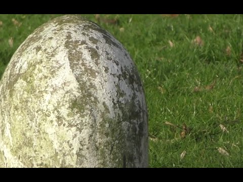 Raadvideo Lemelerveld 22 - Wie kent Lemelerveld 't beste?