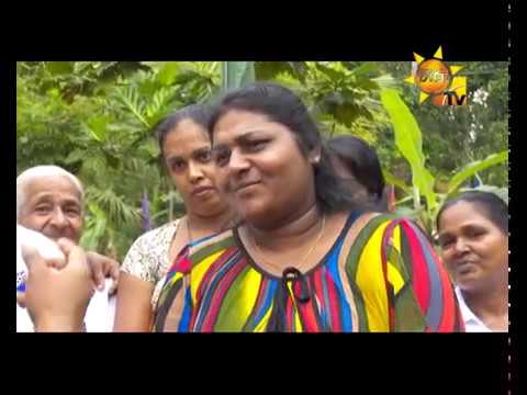 Hiru TV
