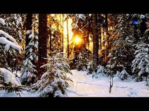 ♡ A Winter Morning - FIONA JOY (relaxing music)