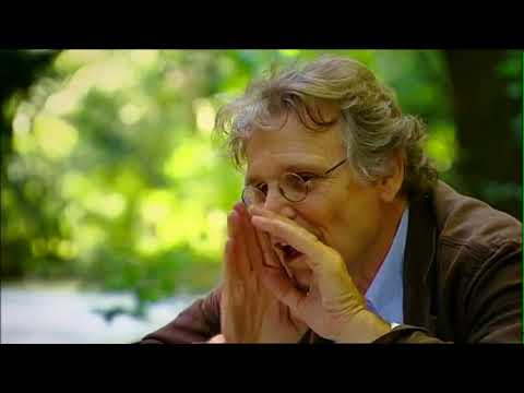 DANIEL PENNAC, la métamorphose du crabe