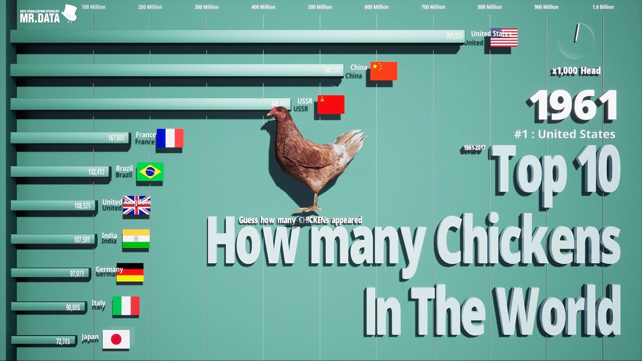 Farm birds for kids. Сравнение чисел утка. Much или many. Диалог in the shop на английском 4 класс. Животные has или have.