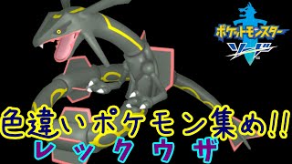 【ポケモン剣盾】色違いレックウザを探していく【ライブ配信】【実況プレイ】【ポケモンソード】【ソードシールド】
