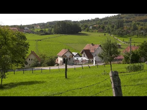 Пршутана Филиповић