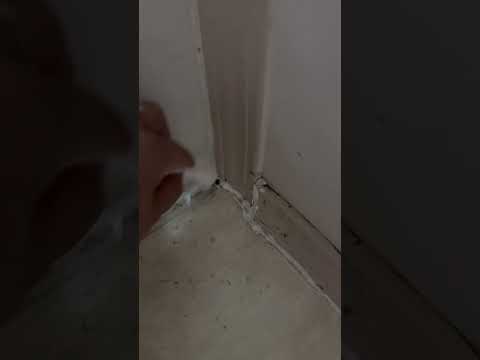 Weidner Apartment Homes - Roach and Mice infestation - Image 15