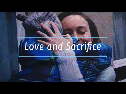 Room: Love Knows No Boundaries