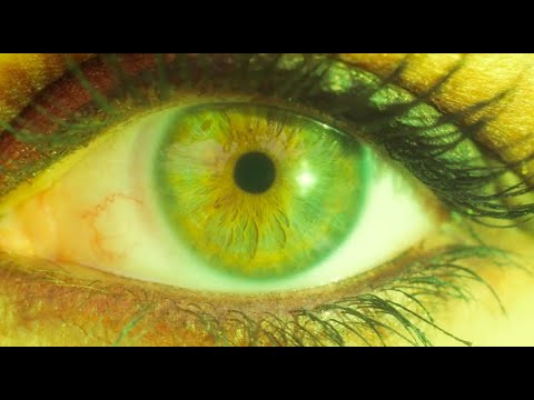 The Mammoths - Green Eyes Official Music Video