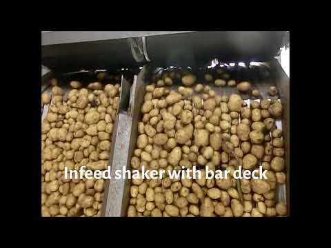 Optimum Sorting Whole Unpeeled Potatoes