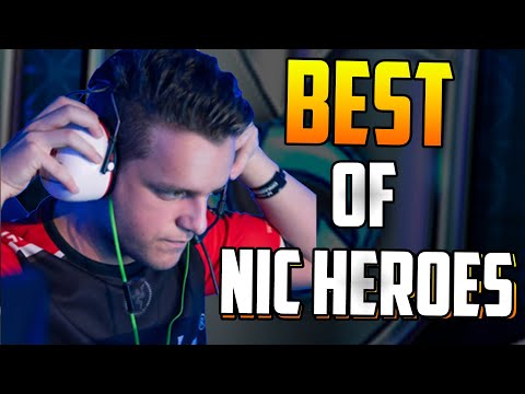 BEST OF NICHEROES | Heroes of the Storm Carry Montage