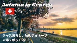 世界一高い🇨🇭ファストフードのお値段は?｜秋のジュネーブvlog｜紅葉巡り｜動物園＆穴場スポット巡り｜現地在住者おすすめのスイスお土産紹介🍫