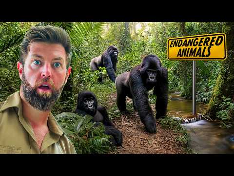 5 Rare Animal Encounters That Could Soon Be Gone Forever