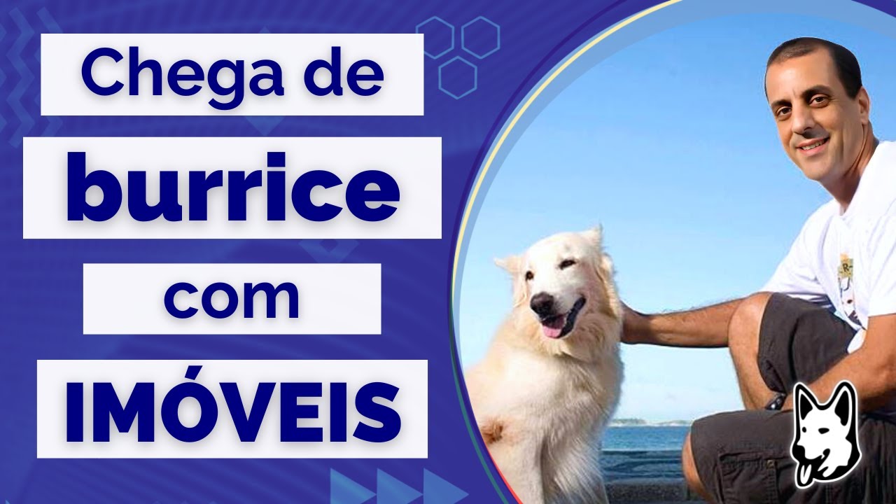 Chega de Burrice com Imóveis!