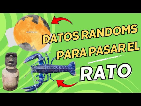 DATOS RANDOM PARA PASAR EL RATO🤯by CURIOSIFY🔎