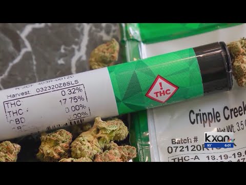 The human impact of SB 3: How Delta-9 THC helps a woman with Alzheimer’s