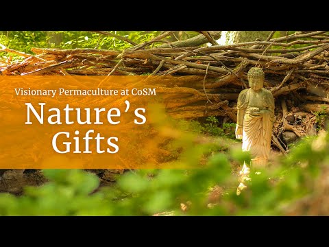 Nature's Gifts