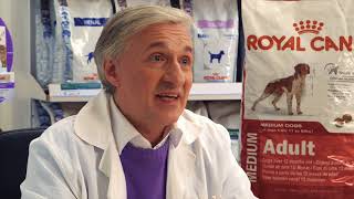 Royal Canin Medium Adult - відео 1