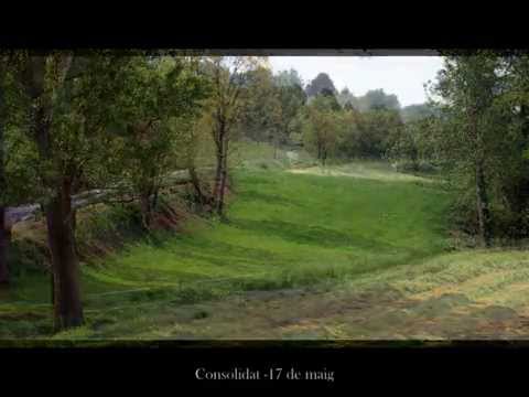 Pastures a La Tria de Perafita