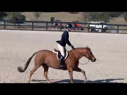 CHERRYBROOK DIANA video 1