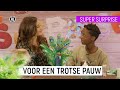 HARTJES ZIJN ALTIJD GOED ? ? ? | Super Surprise | seizoen 2 #4 | NPO Zapp