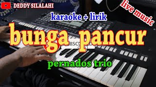 Download lagu BUNGA PANCUR [KARAOKE] PERNADOS TRIO mp3