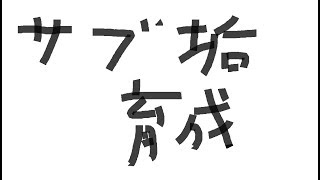ava　初心者　無言 階級上げ