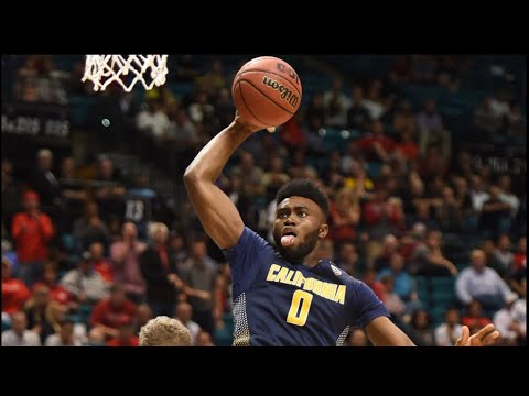 Jaylen Brown 😤 Cal Highlights (2015-2016)