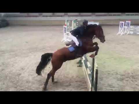 GP 1 15 finale ghcr la chevalerie 21 10 2018