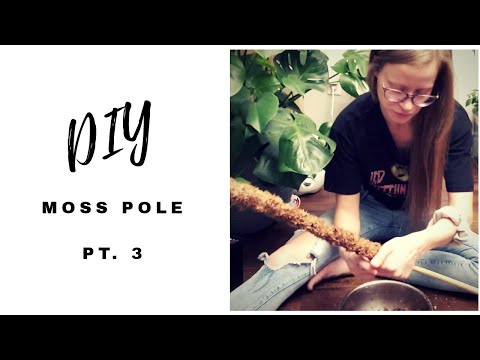 HOW TO MAKE A MOSS POLE (Pt.3) Drunk Edition | DIY | Plant Trellis